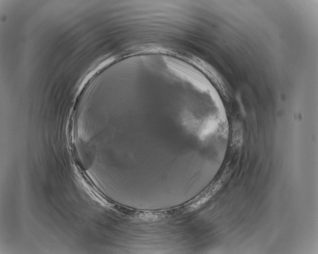 X0000085050806200704021318