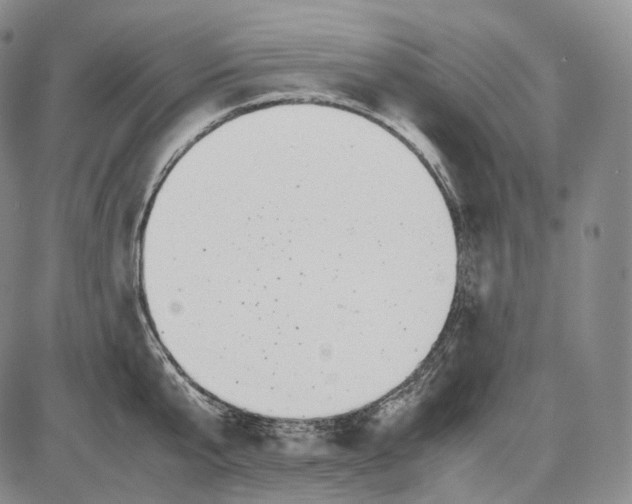 X0000085050807200704021318