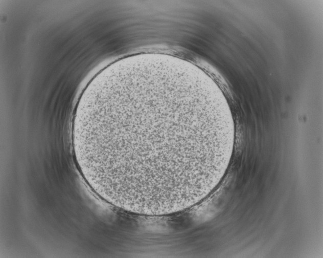 X0000085050808200704021318