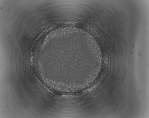 X0000085050818200704021317