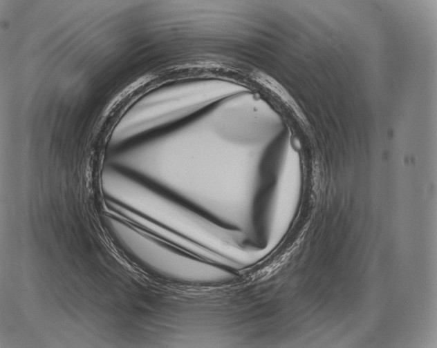 X0000085050826200704021317