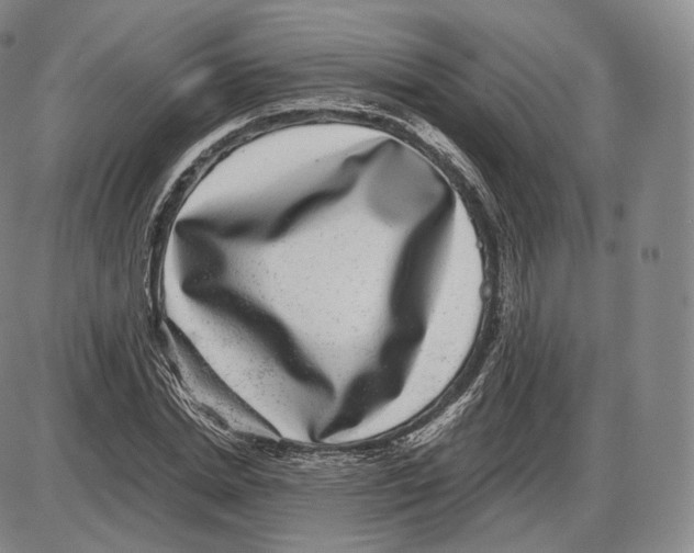 X0000085050830200704021317