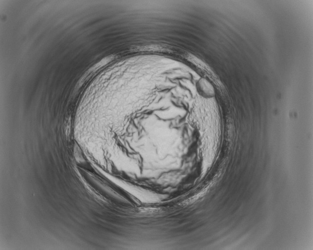 X0000085050841200704021317