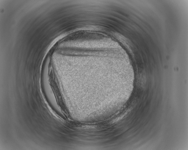 X0000085050845200704021317