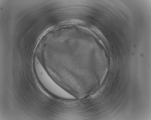 X0000085050850200704021317