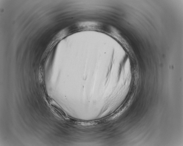 X0000085050857200704021317