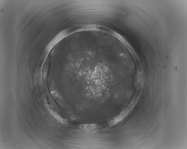 X0000085050858200704021317