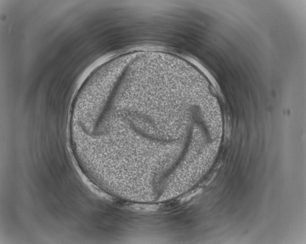 X0000085050861200704021317