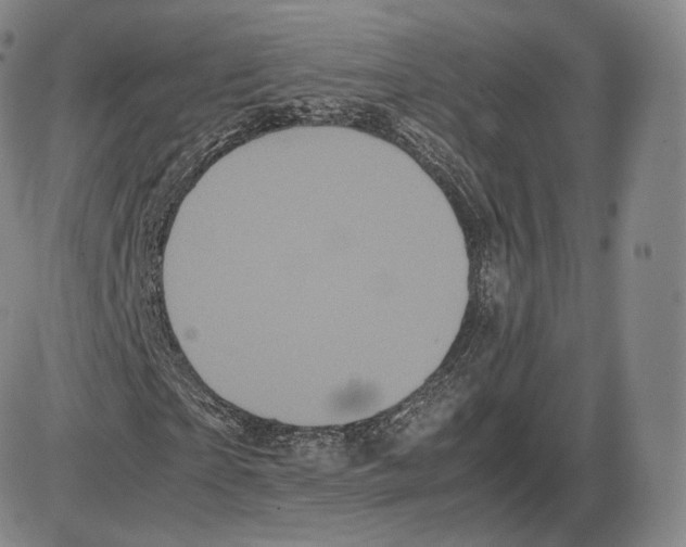X0000085050865200704021317