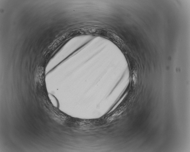 X0000085050867200704021317