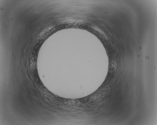 X0000085050869200704021317