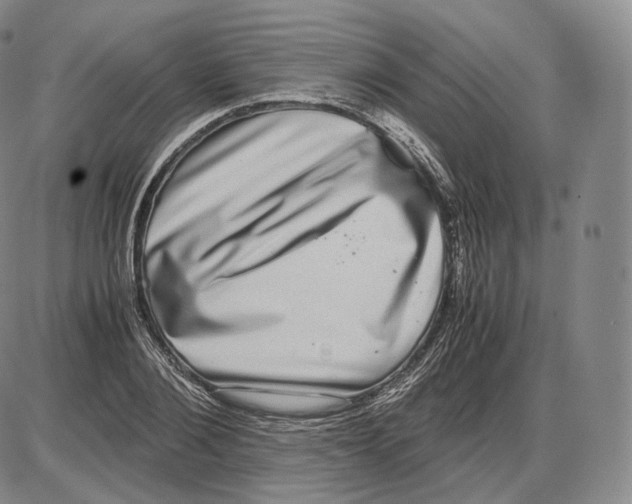 X0000085050884200704021316