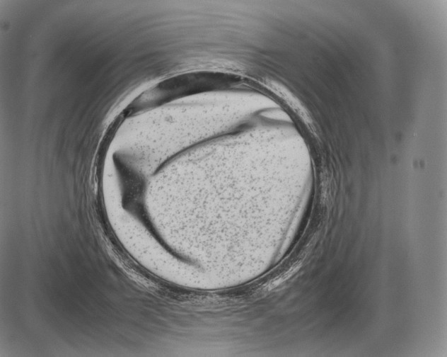 X0000085050885200704021316