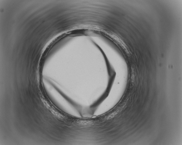 X0000085050888200704021316