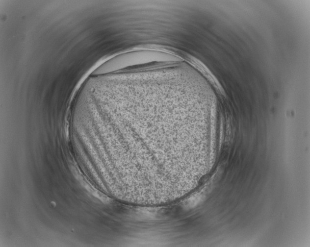 X0000085050908200704021316