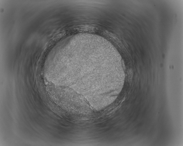 X0000085050913200704021315
