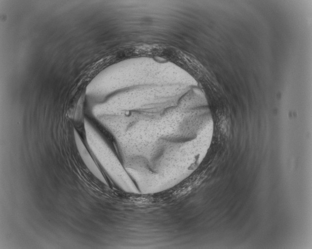 X0000085050914200704021315