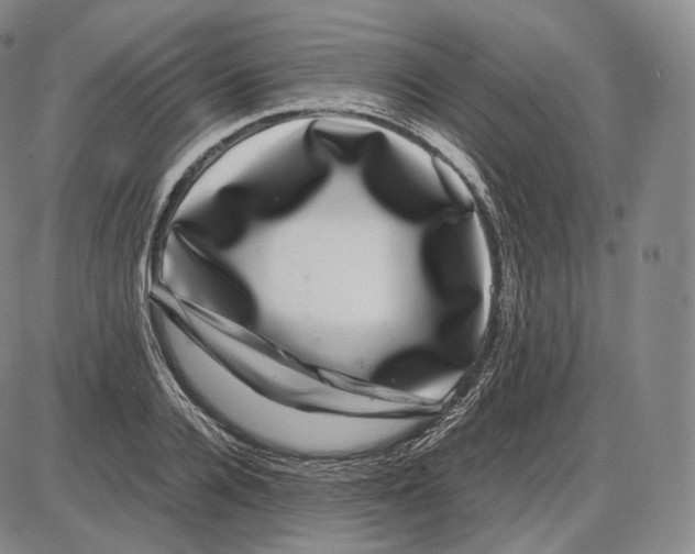 X0000085050936200704021316