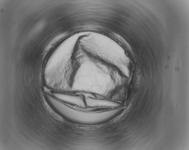 X0000085050938200704021316