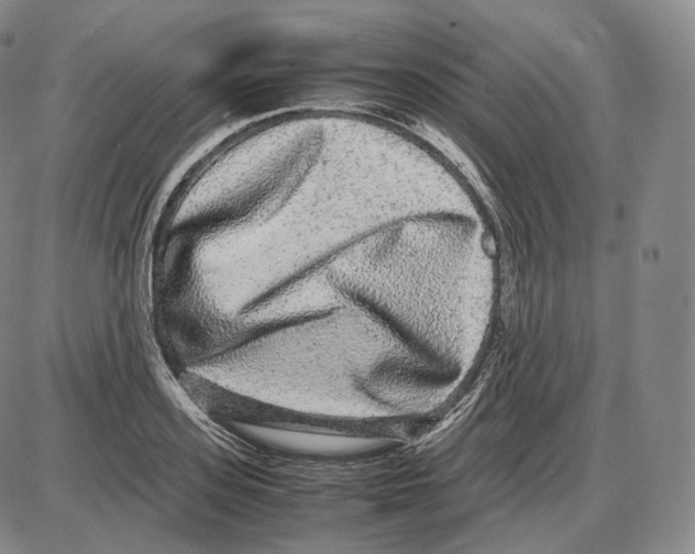 X0000085050939200704021316
