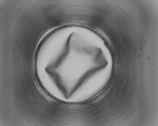 X0000085050940200704021316