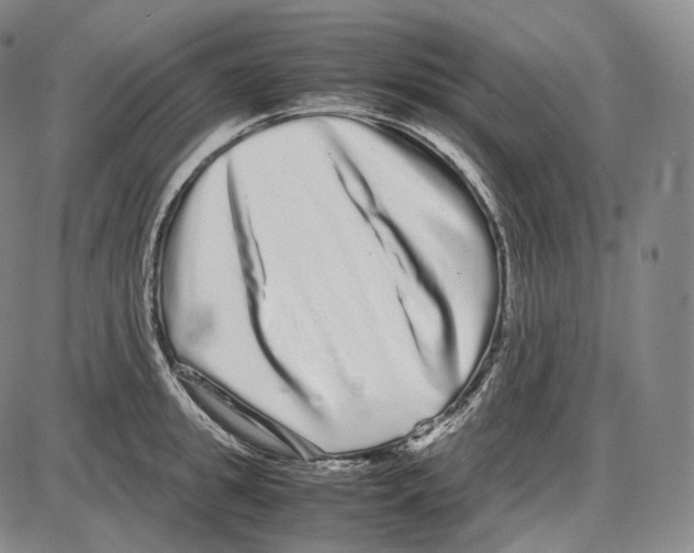 X0000085050949200704021316