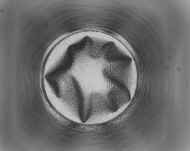 X0000085050955200704021316