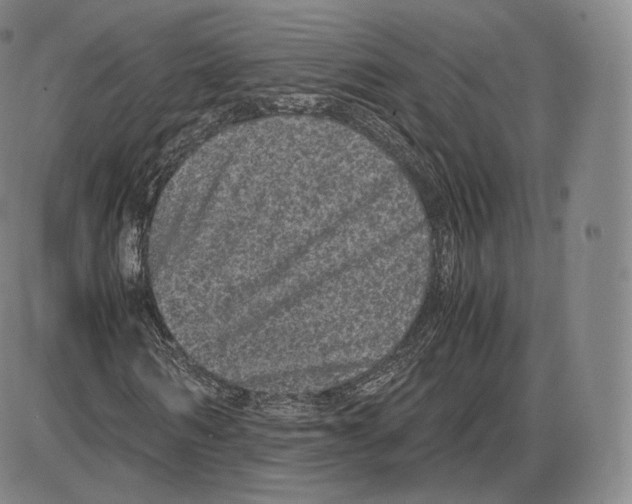 X0000085050962200704021315