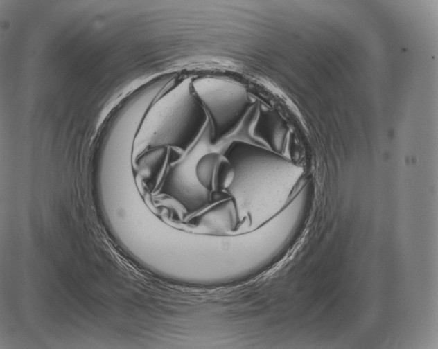X0000085050973200704021315