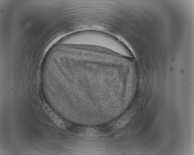 X0000085050975200704021315