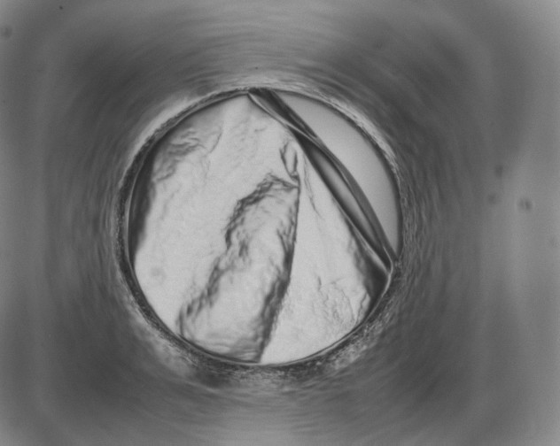 X0000085050991200704021315