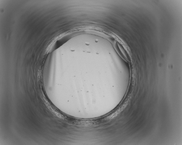 X0000085050993200704021315