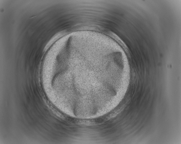 X0000085051002200704021314
