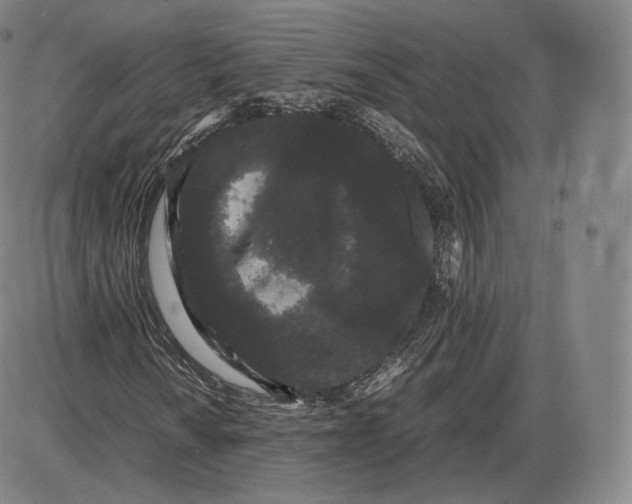 X0000085051010200704021314