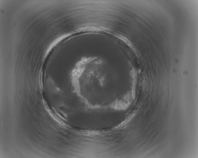 X0000085051030200704021314