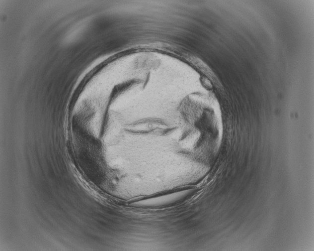 X0000085051036200704021314