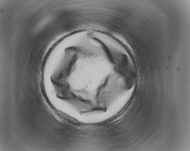 X0000085051040200704021314