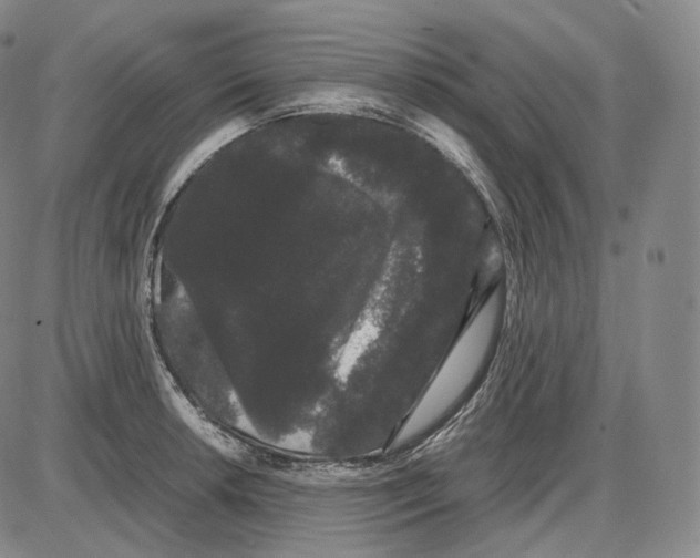 X0000085051042200704021314