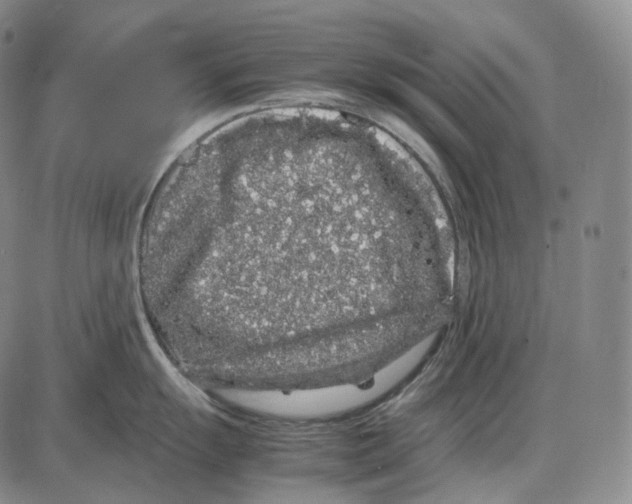 X0000085051055200704021314