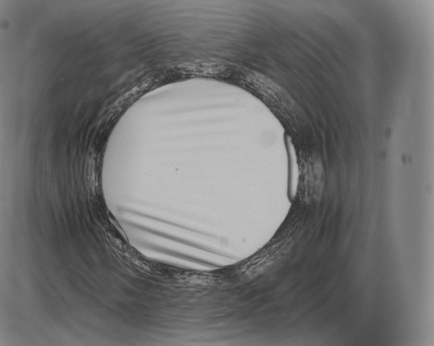 X0000085051058200704021314