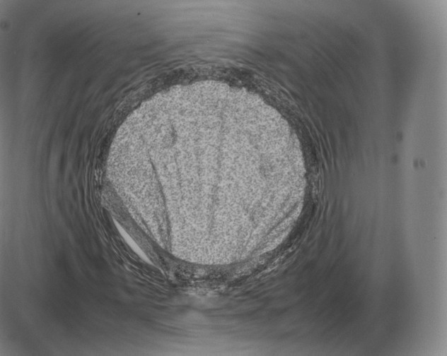 X0000085051059200704021313