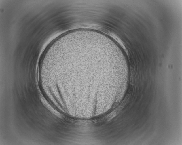 X0000085051080200704021313