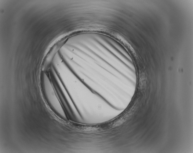 X0000085051085200704021313
