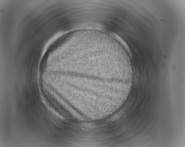 X0000085051096200704021313