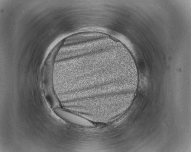 X0000085051102200704021313