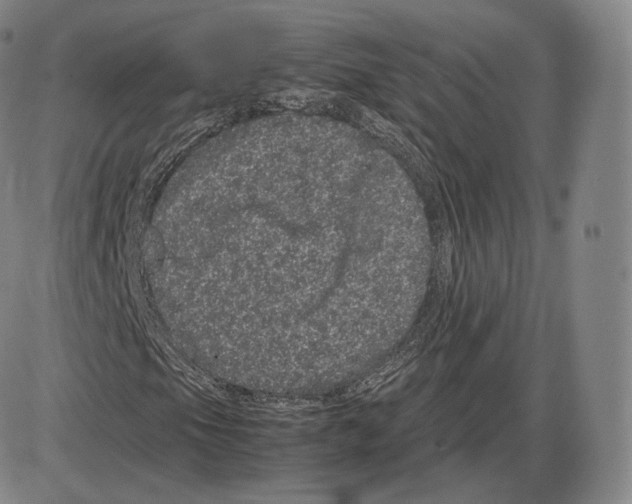 X0000085051105200704021312
