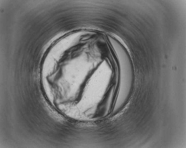 X0000085051133200704021312