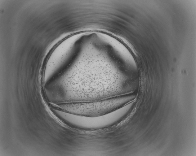 X0000085051134200704021312