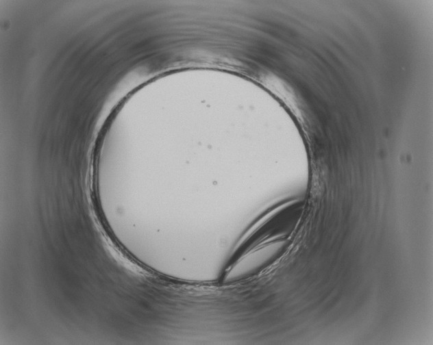 X0000085051136200704021312