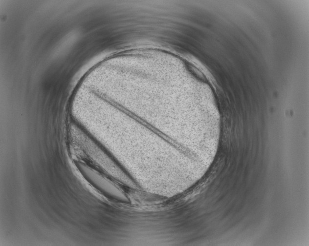 X0000085051142200704021313